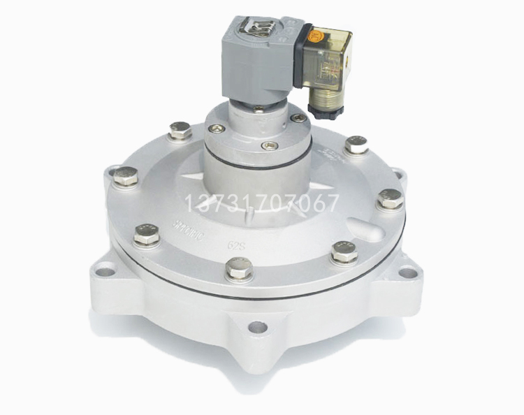 DMF-Y-62S淹沒式電磁脈衝閥2.5寸