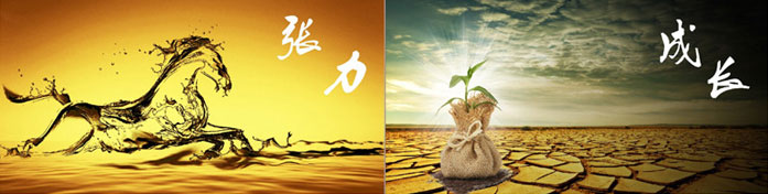 企業發展要學會取他人（rén）之長、補自（zì）己之短